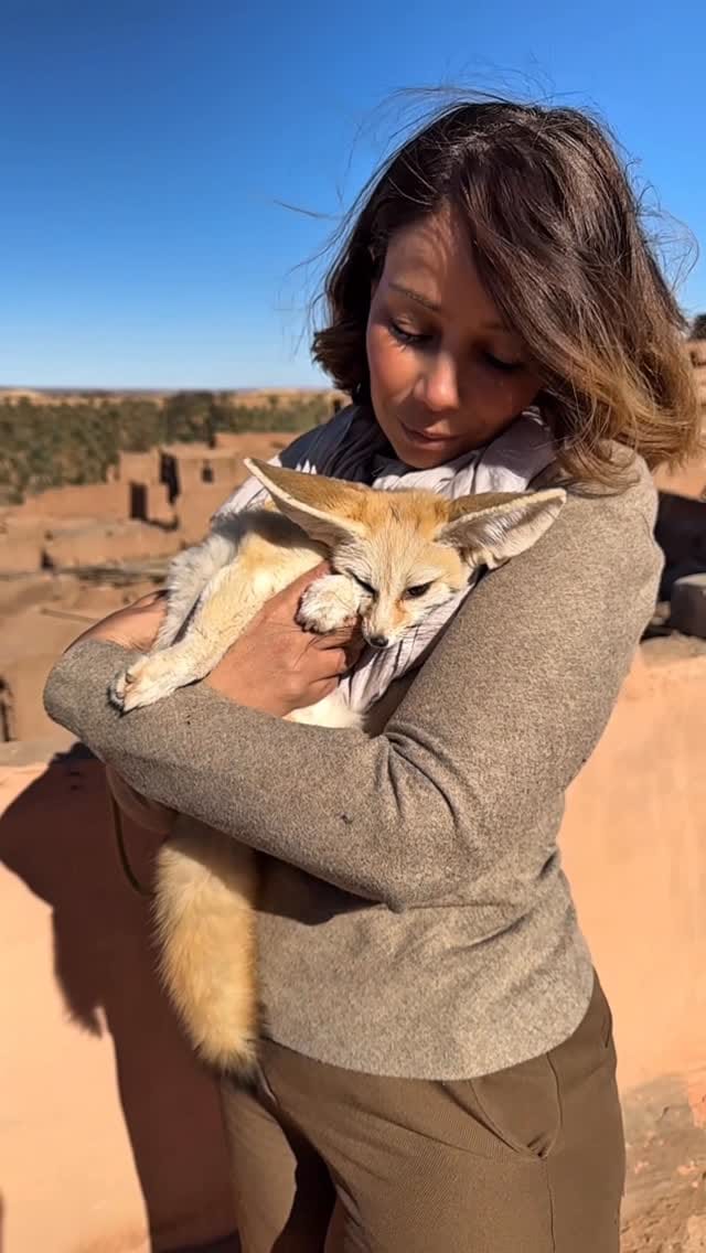 Post 3 by Guettiche sabrina on Instagram (video)