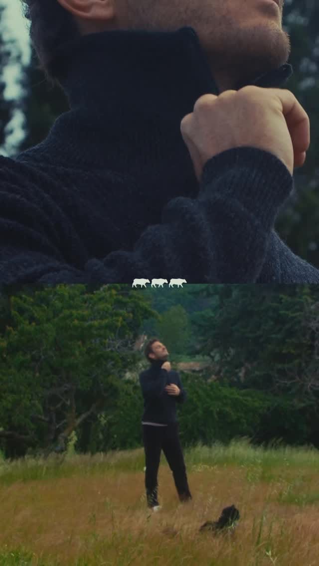 Post 7 by MISE AU GREEN on Instagram (video)