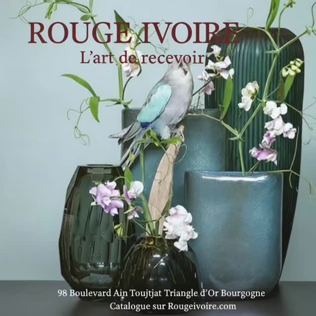 Post 9 by Rouge Ivoire on Instagram (video)