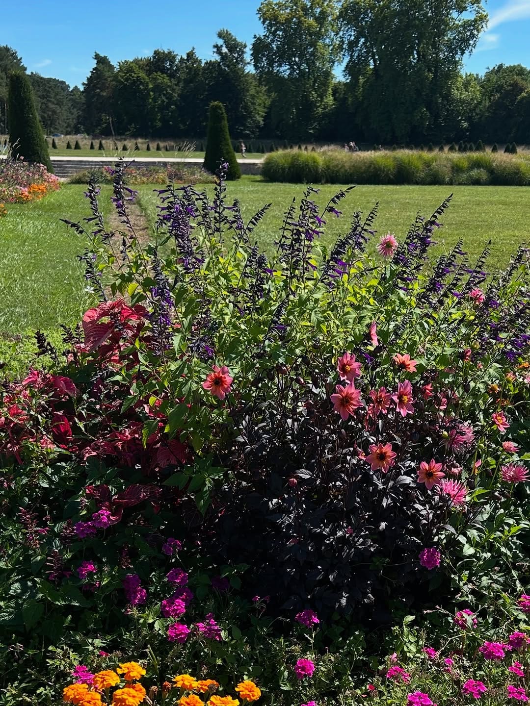 Post 8 by Sydney 💚 on Instagram (carousel)
