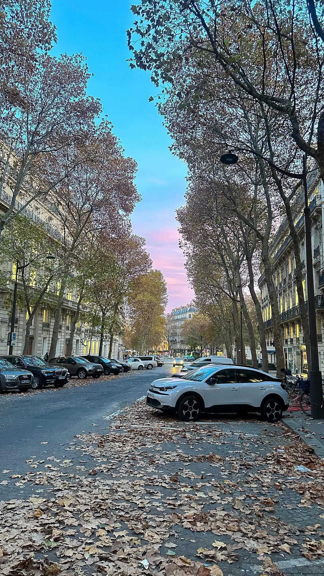 Post 2 by Ambre Trecy on Instagram (video)