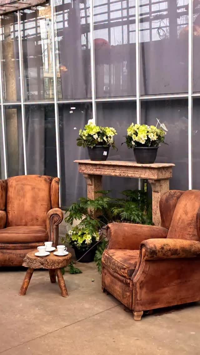 Post 10 by La Bruyère (ex Deco Jardin Rungis) on Instagram (video)