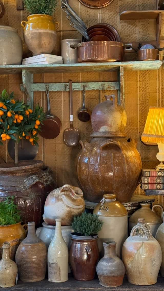 Post 6 by La Bruyère (ex Deco Jardin Rungis) on Instagram (video)