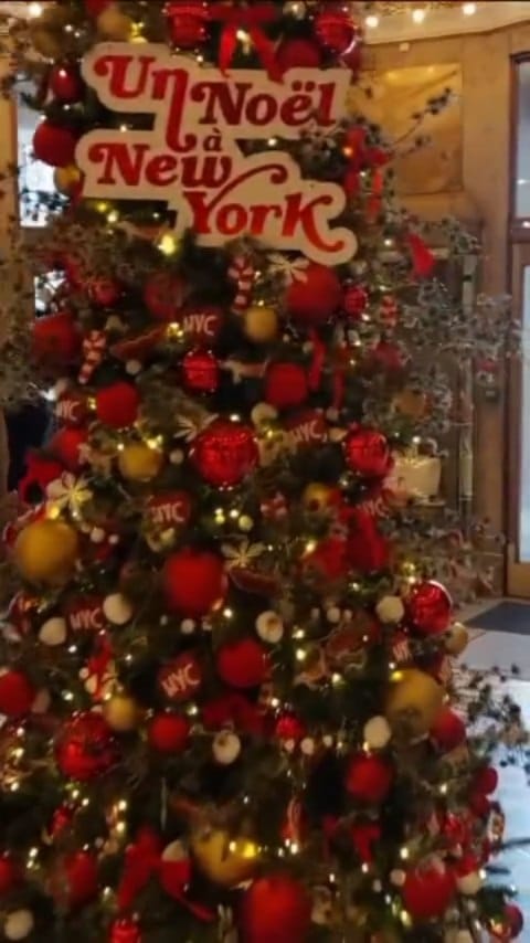 Post 5 by Marie Bellidor on Instagram (video)