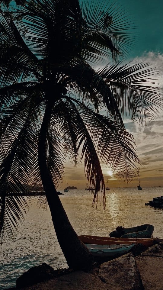 Post 6 by Magdalena | Manifestation & Conscious Living on Instagram (video)