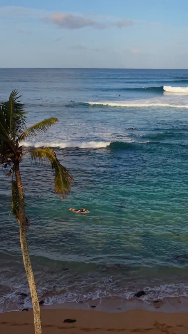 Post 1 by Yolanda Hopkins Sequeira on Instagram (video)
