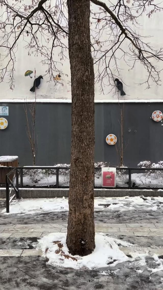 Post 2 by ALE MMXVIII PARIS on Instagram (video)