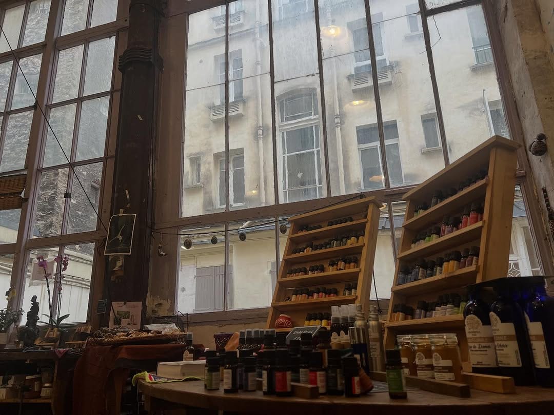 Post 7 by Celine Motard on Instagram (image)
