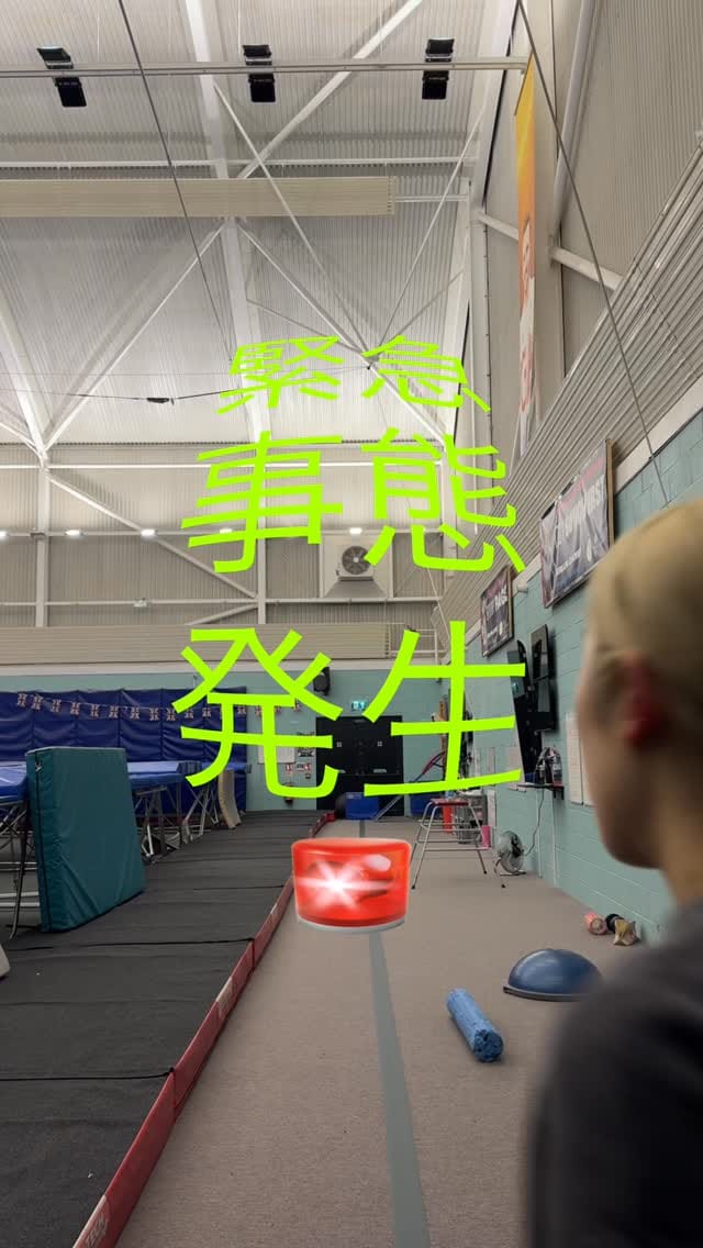 Post 5 by 森ひかる Mori hikaru on Instagram (video)