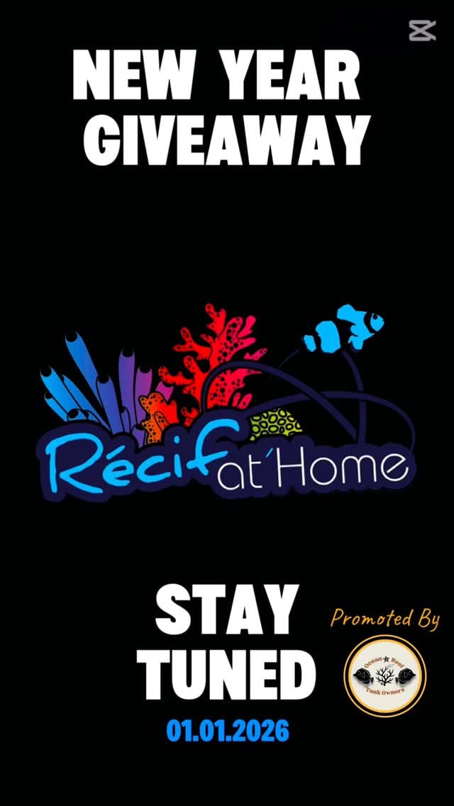 Post 9 by Recifathome on Instagram (video)