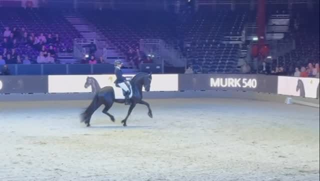 Post 3 by Dinja van Liere on Instagram (video)