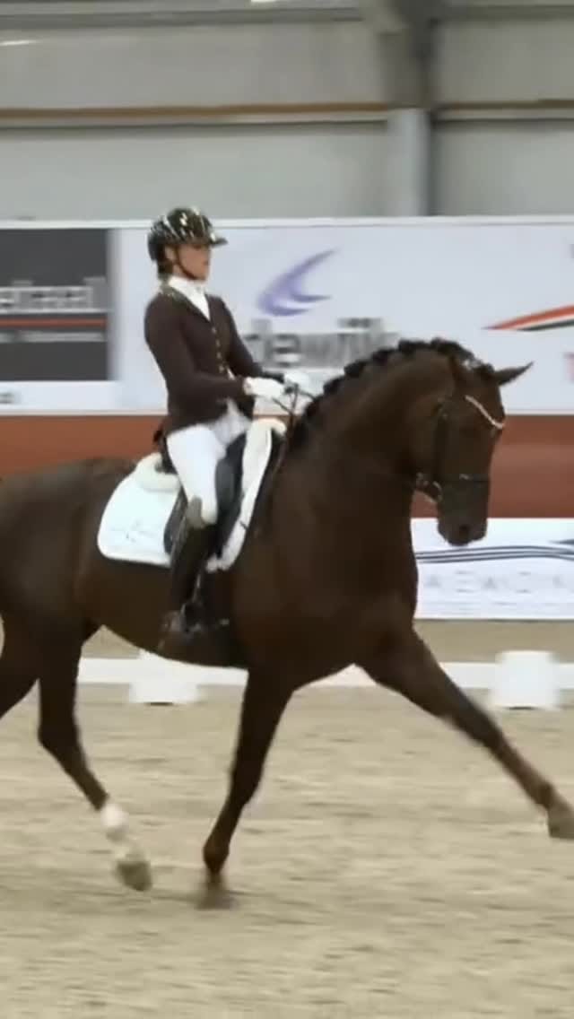 Post 10 by Dinja van Liere on Instagram (video)