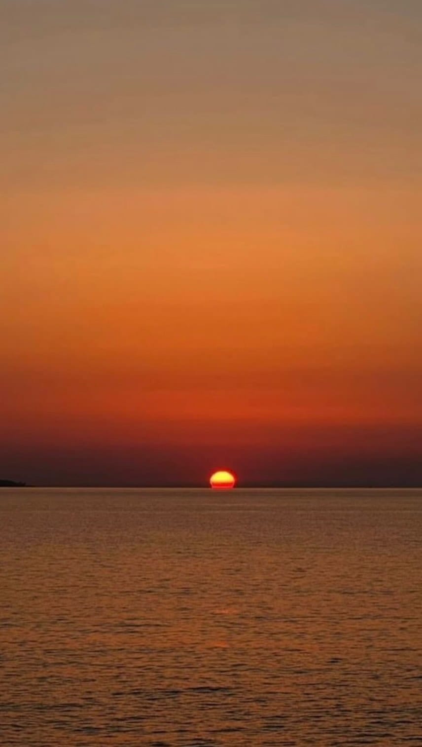 Post 6 by Mathilde Mas on Instagram (video)