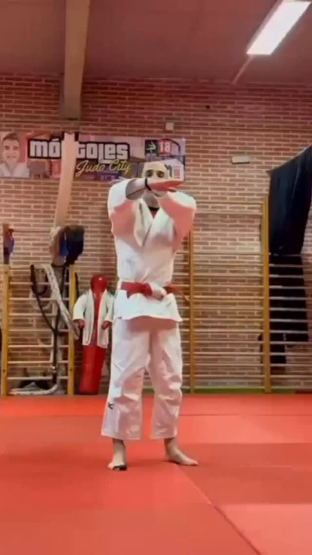 Post 4 by Javi “Ichiban” Delgado on Instagram (video)