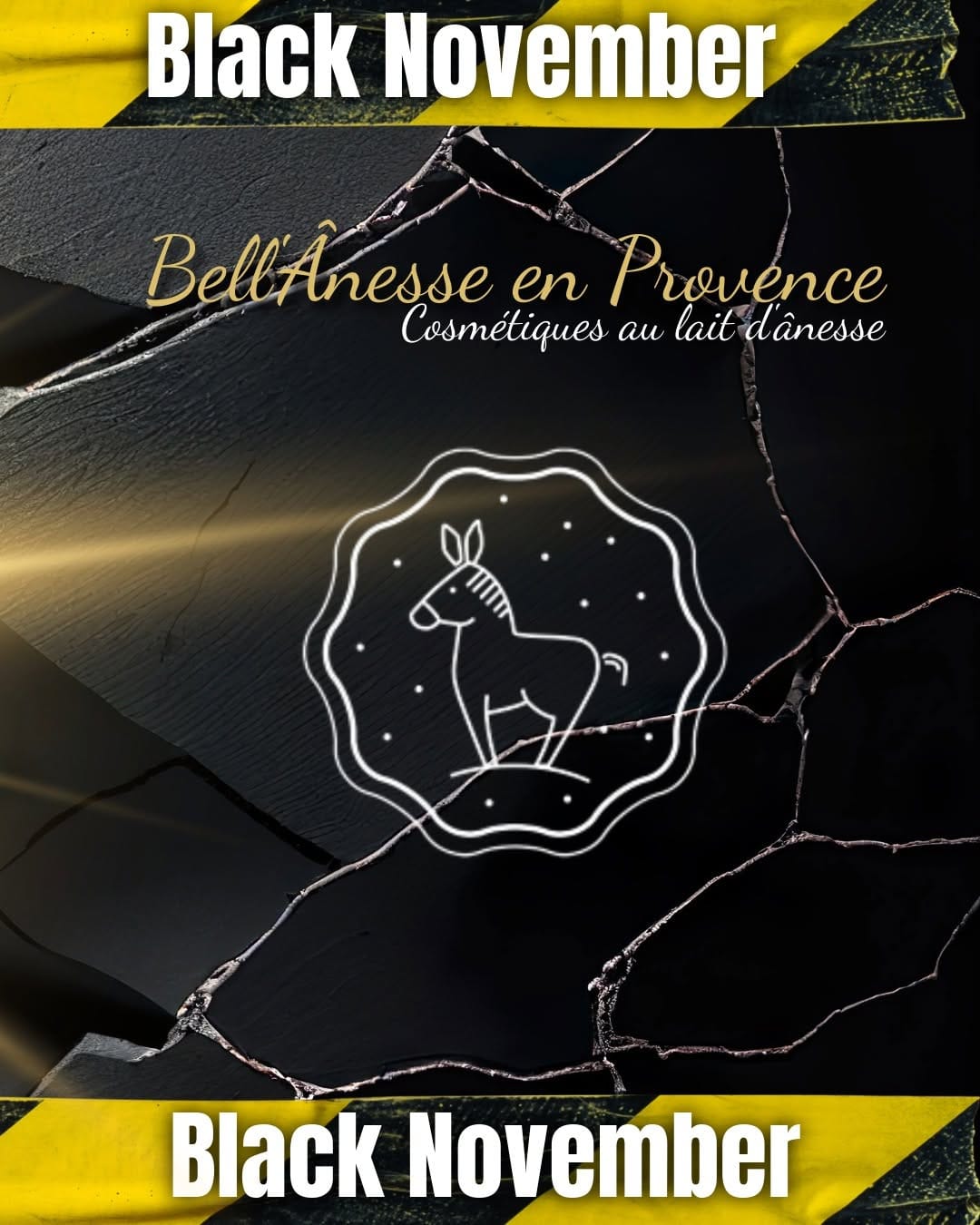 Post 8 by Bell’Anesse en Provence Officiel on Instagram (image)