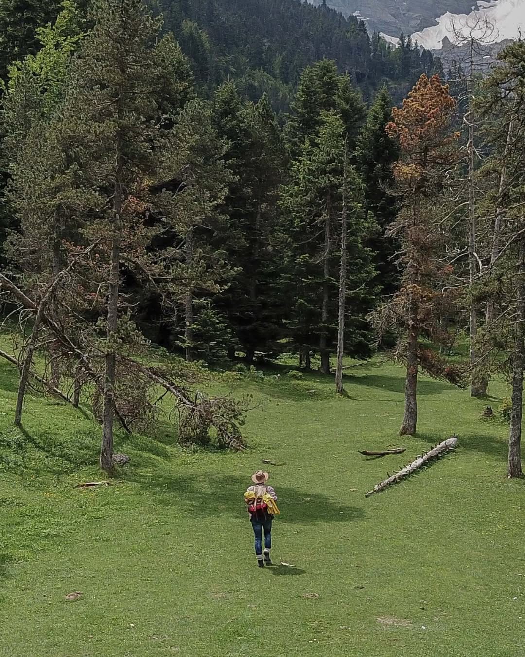 Post 8 by BIVOUAK on Instagram (image)