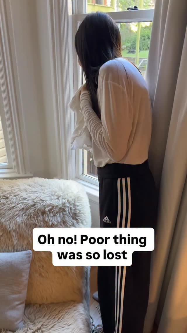 Post 5 by bkr on Instagram (video)