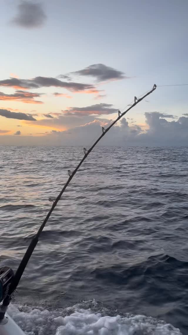 Post 7 by CAUDALE.FWI on Instagram (video)