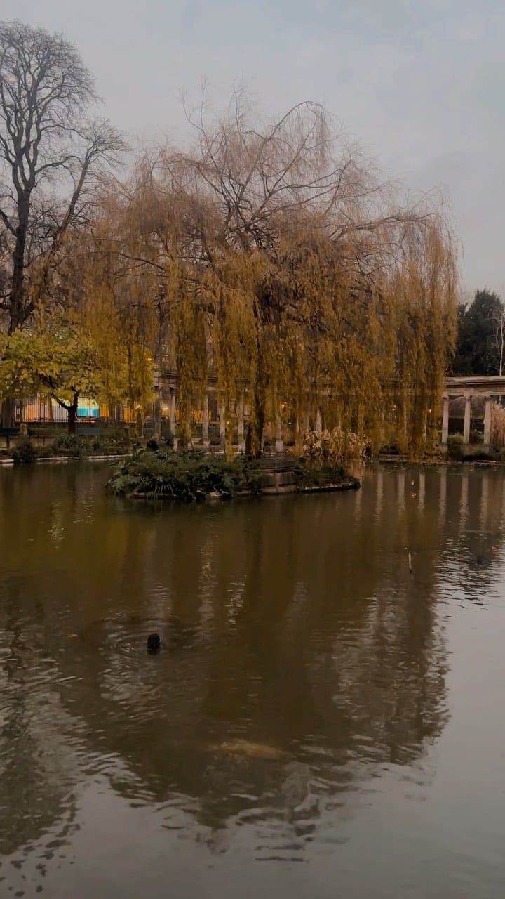 Post 6 by Victor Parigi 🇫🇷 Paris on Instagram (video)