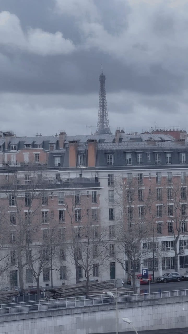 Post 5 by Victor Parigi 🇫🇷 Paris on Instagram (video)