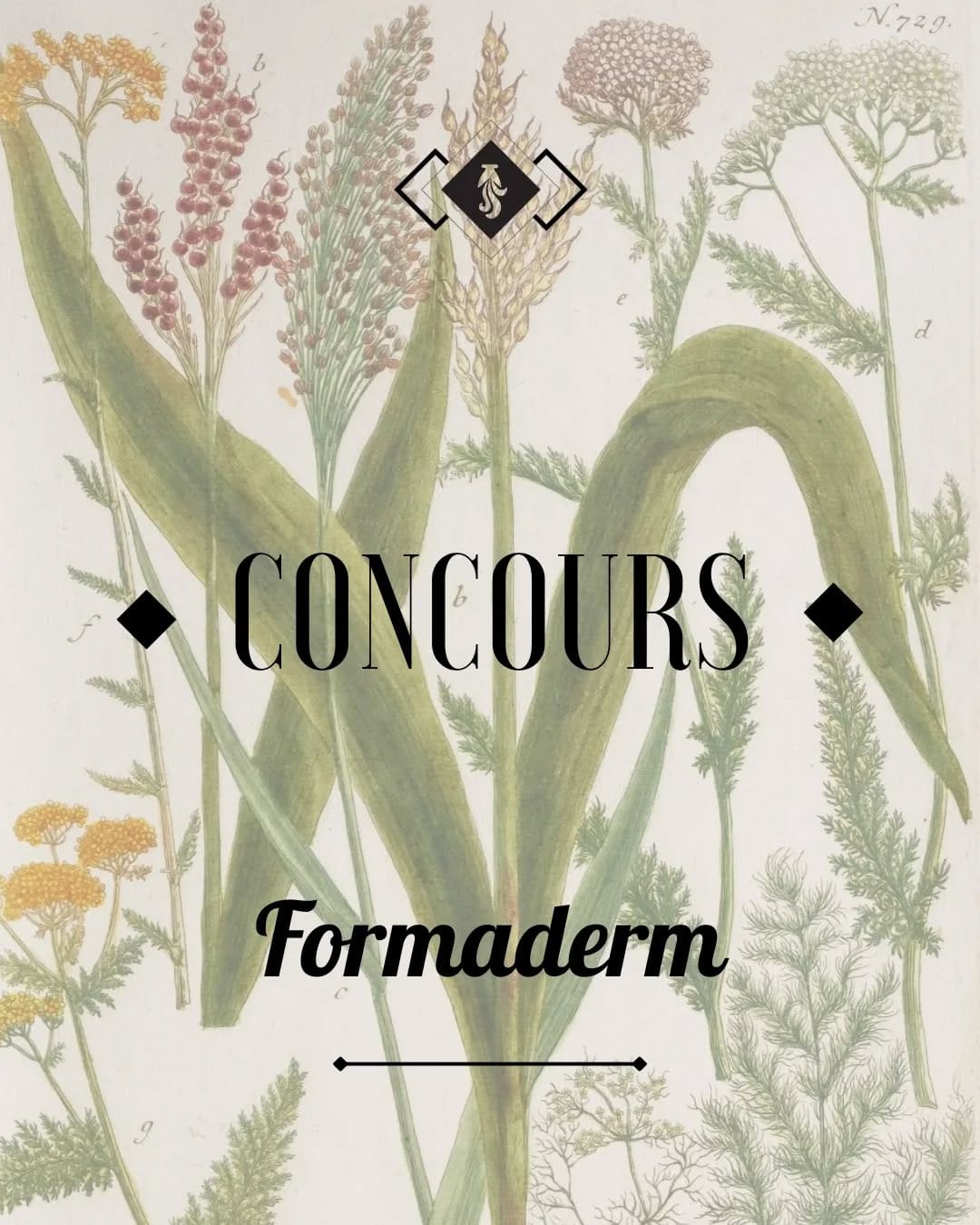 Post 1 by La Manufacture du Siècle on Instagram (carousel)