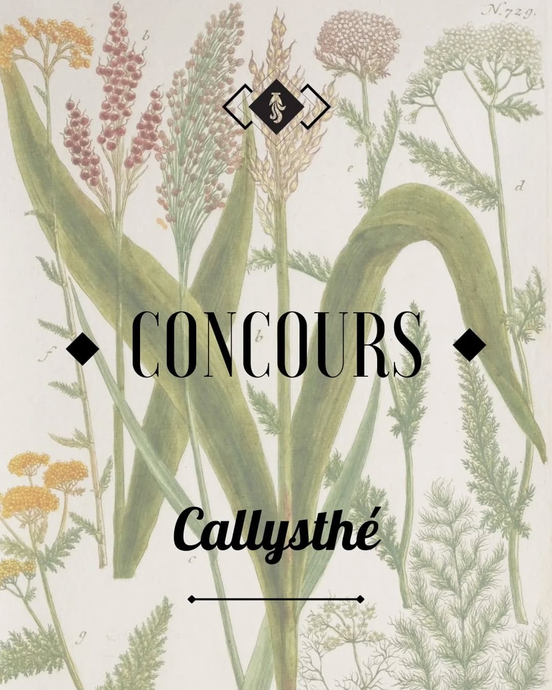 Post 4 by La Manufacture du Siècle on Instagram (carousel)