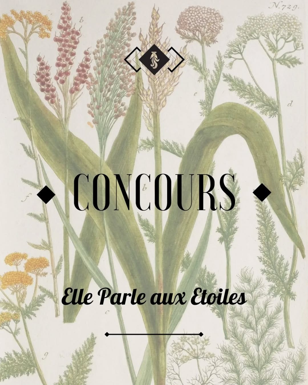 Post 10 by La Manufacture du Siècle on Instagram (carousel)