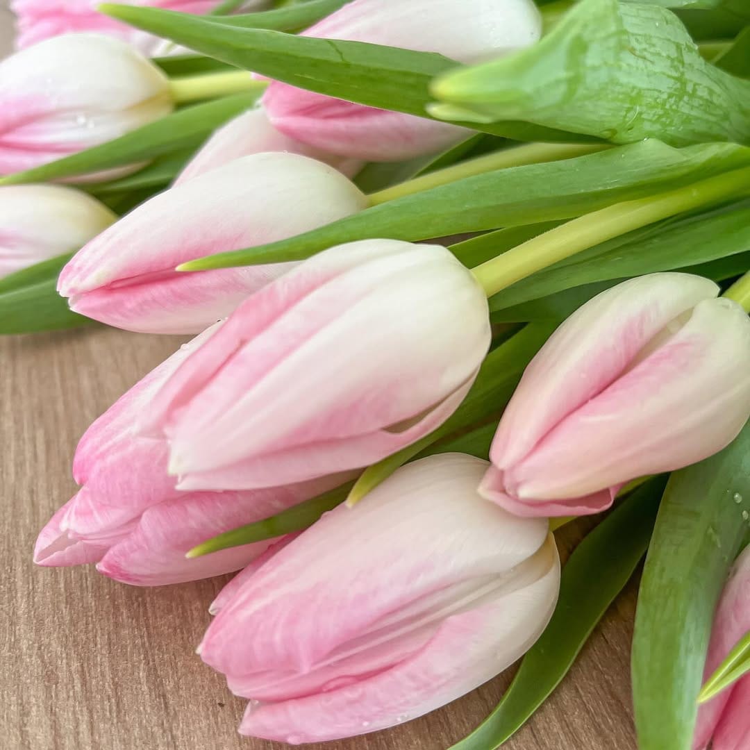 Post 10 by 𝐋𝐚𝐞̈𝐭𝐢𝐭𝐢𝐚 on Instagram (image)