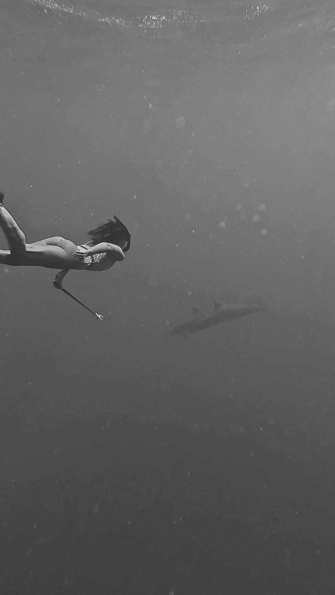 Post 9 by Laetitia Viola on Instagram (video)
