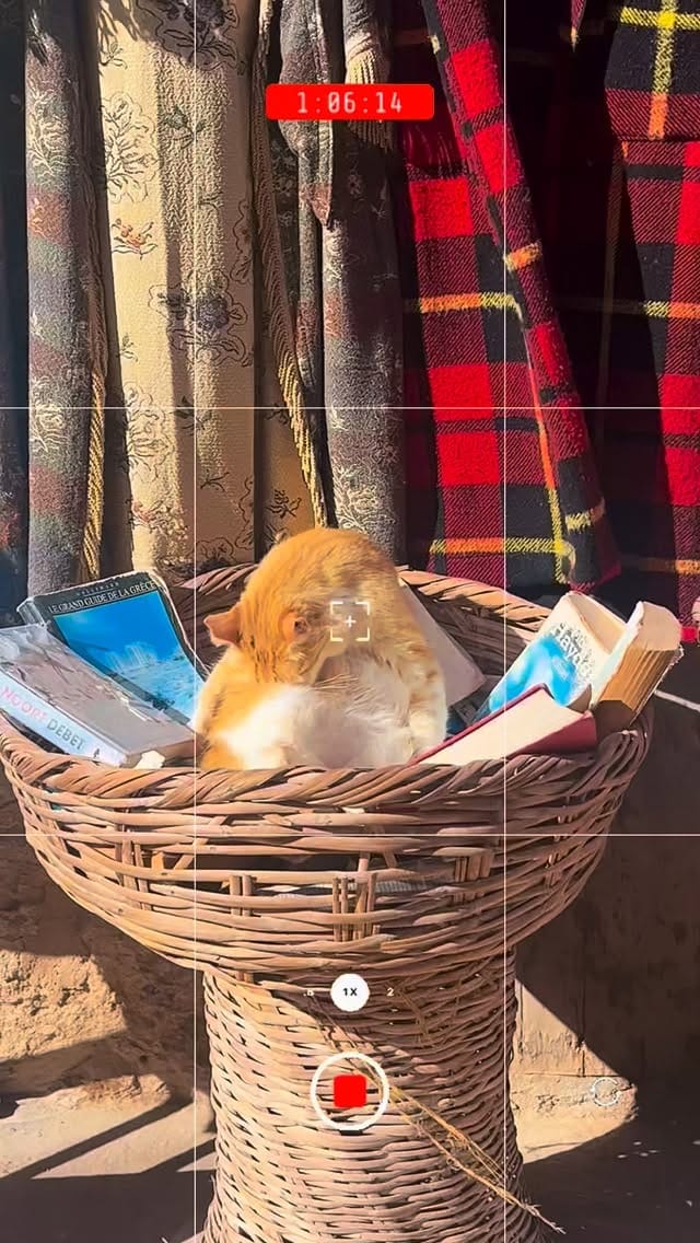 Post 6 by Nora 🍵 on Instagram (video)