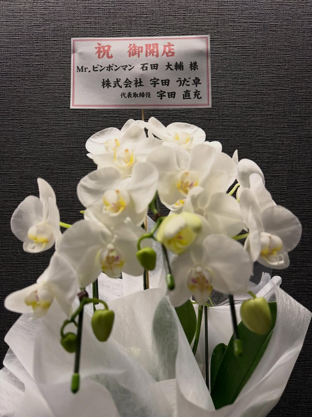 Post 6 by 石田大輔　DAISUKE ISHIDA on Instagram (image)