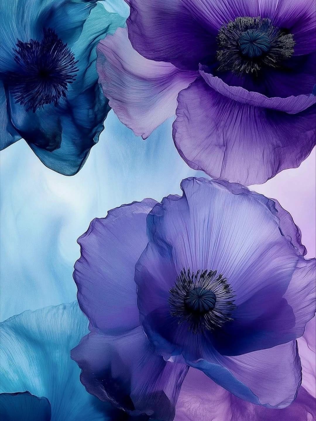 Post 9 by Anissa Ayna Mbarek on Instagram (image)