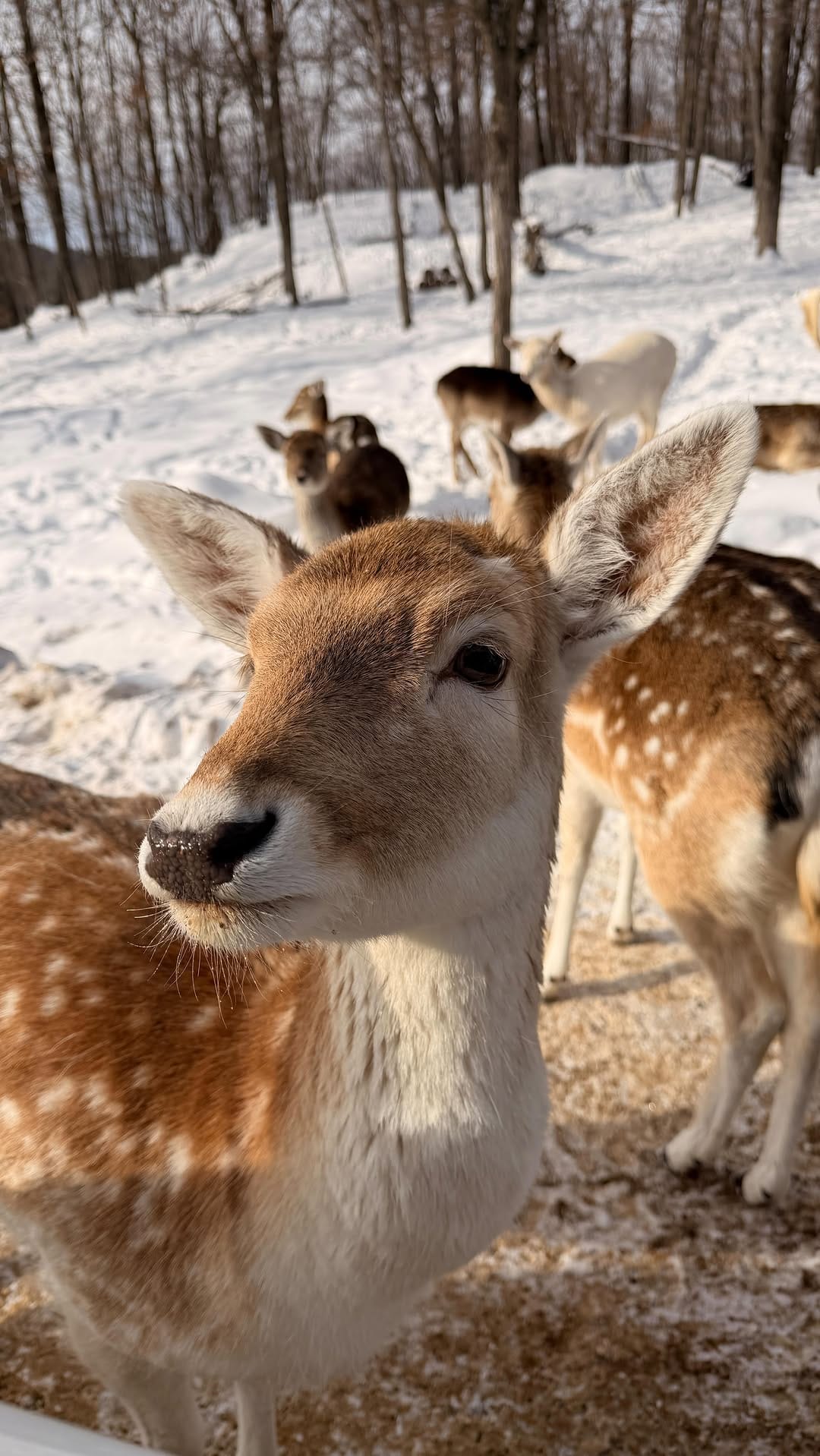 Post 8 by Liza Maisonnave on Instagram (video)