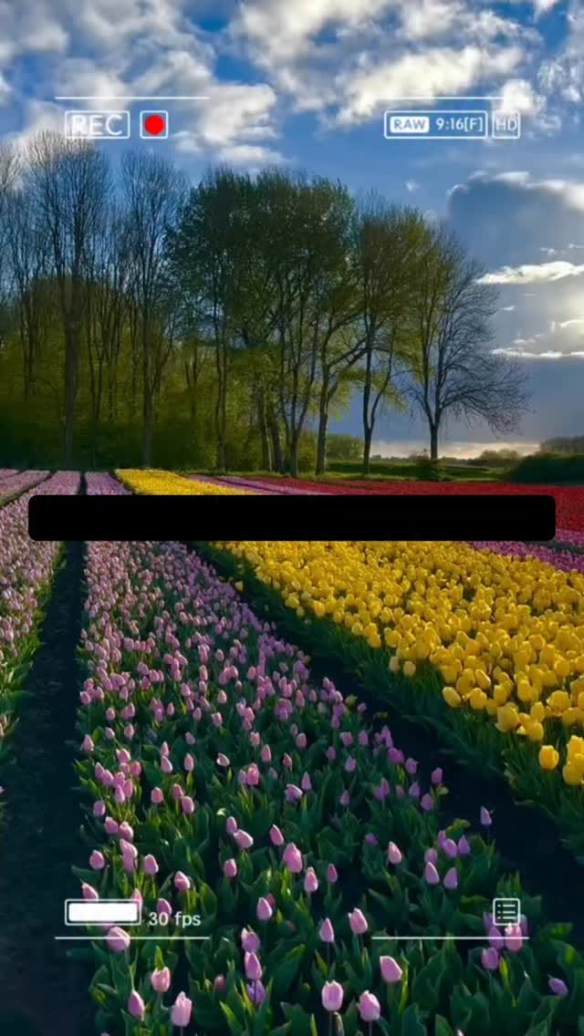 Post 2 by Mélanie Marciano on Instagram (video)