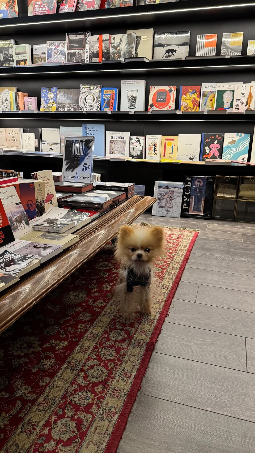Post 1 by Книжный магазин «Librairie du Globe», Paris on Instagram (video)