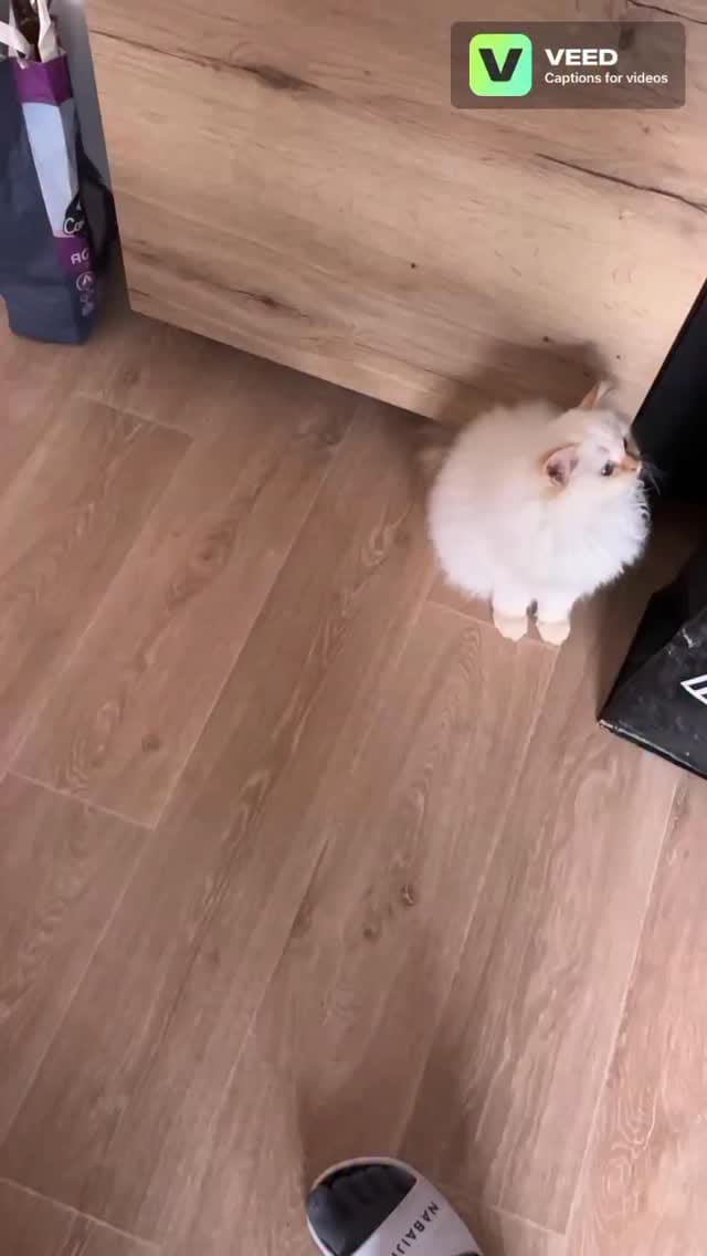 Post 4 by Elisa Bernard on Instagram (video)