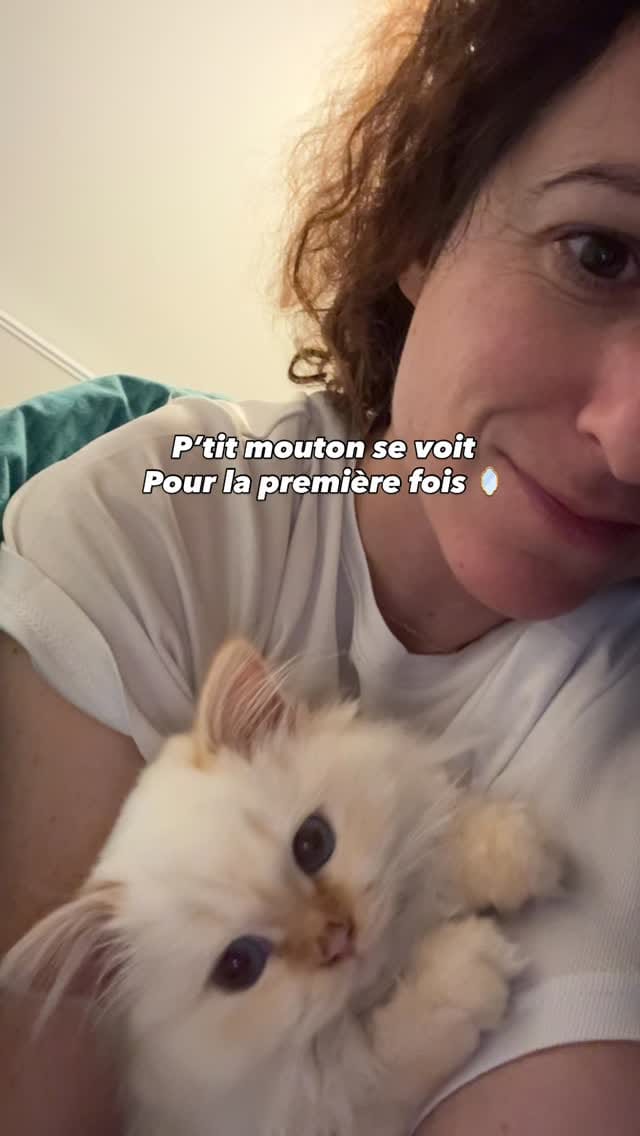 Post 2 by Elisa Bernard on Instagram (video)