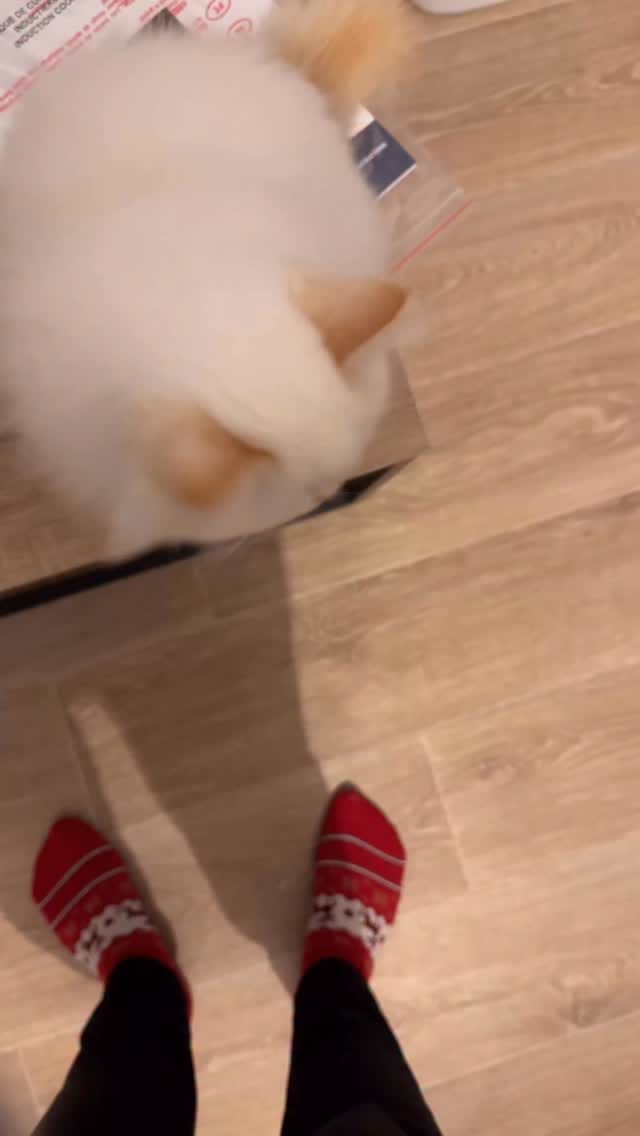 Post 9 by Elisa Bernard on Instagram (video)