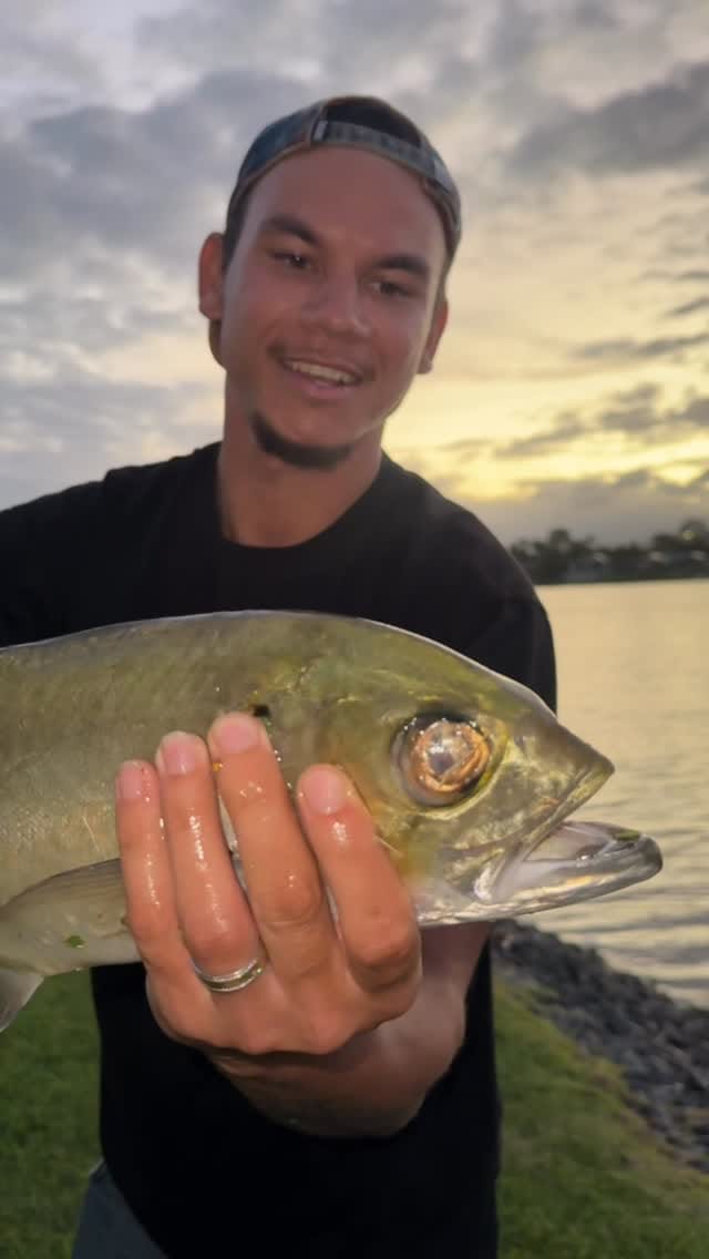 Post 7 by Daniel Rioli on Instagram (video)