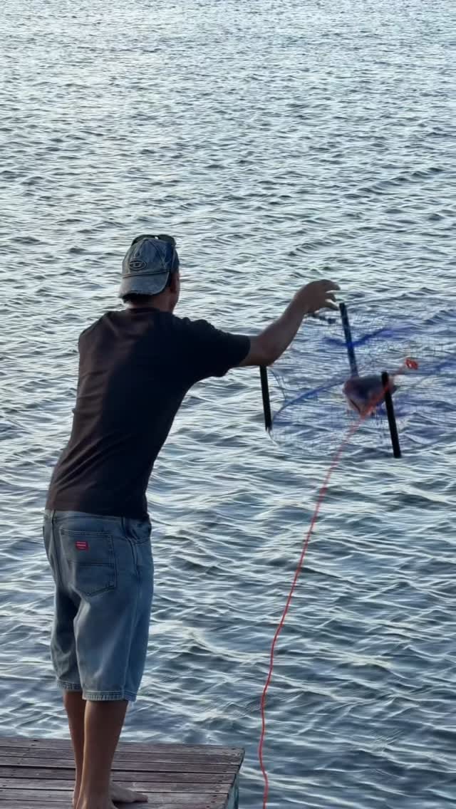 Post 10 by Daniel Rioli on Instagram (video)