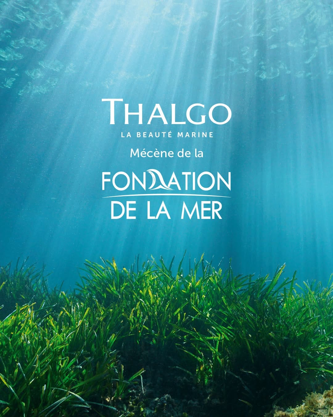 Post 6 by Thalgo France on Instagram (carousel)
