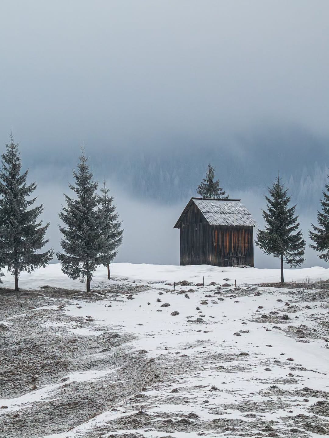 Post 6 by Sergiu Vasile Bejan on Instagram (image)
