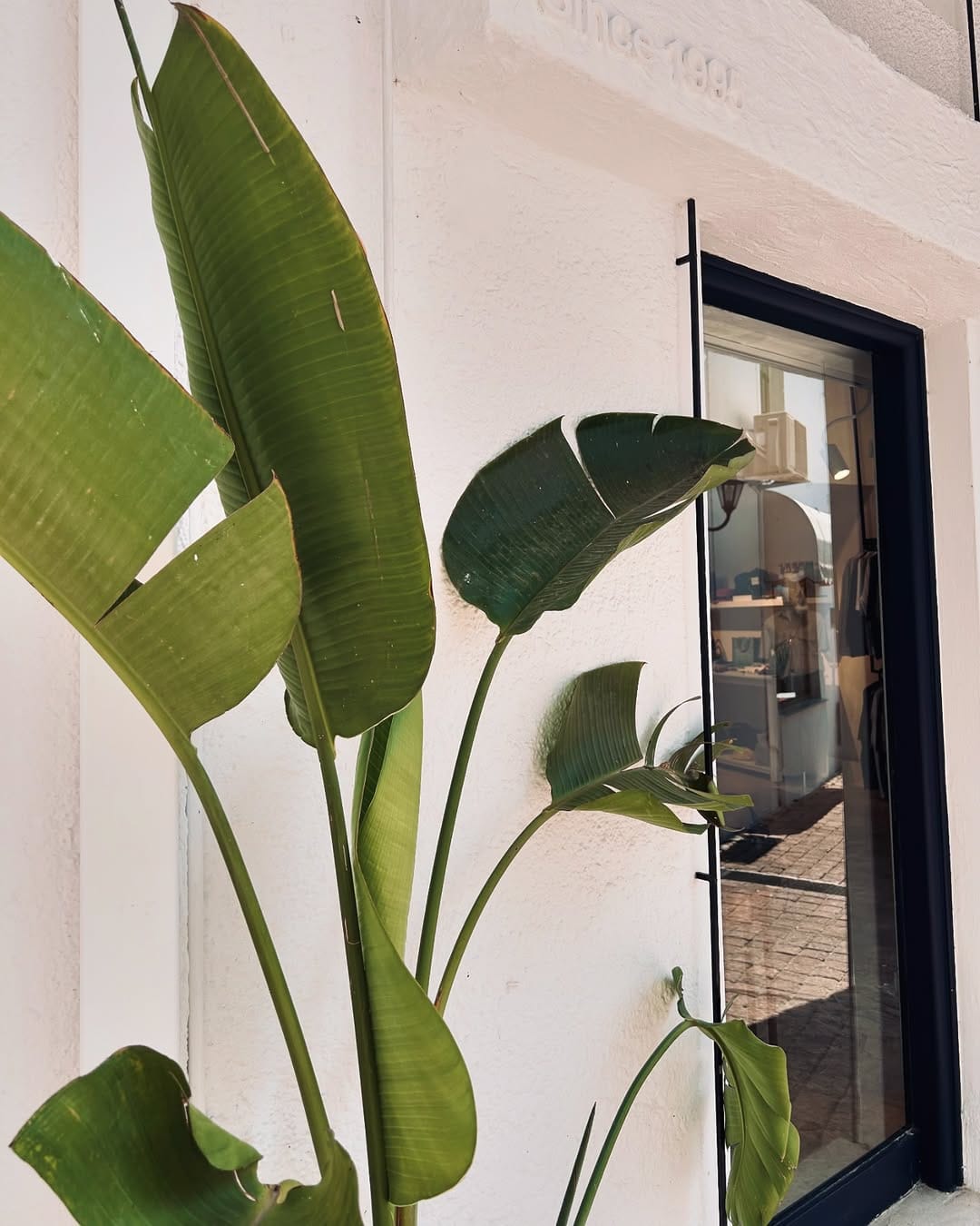 Post 10 by 𝐤𝐢𝐧𝐞𝐳𝐚🥢 on Instagram (carousel)