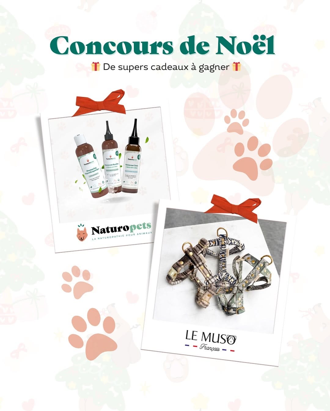 Post 6 by Naturopets | La Naturopathie pour animaux on Instagram (carousel)