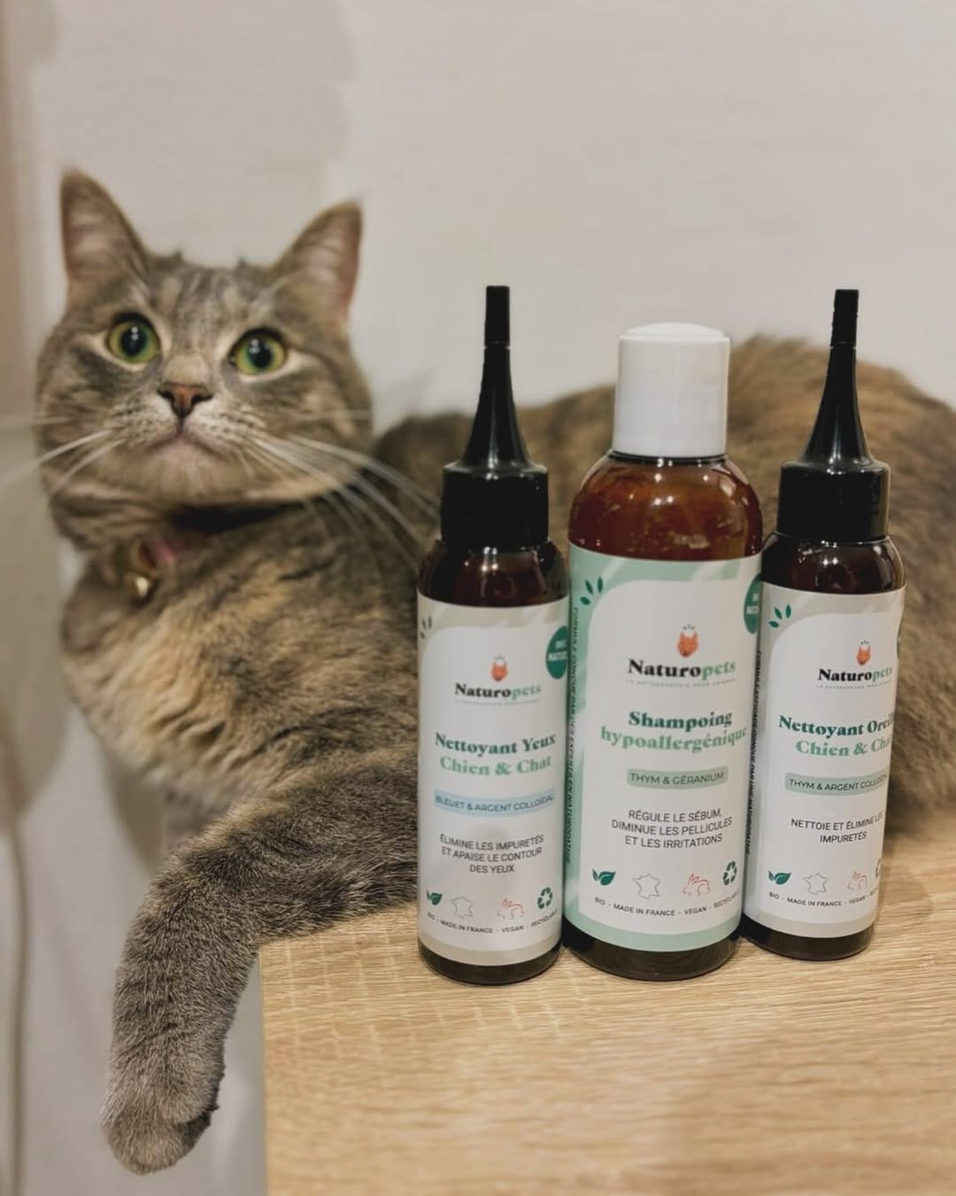 Post 5 by Naturopets | La Naturopathie pour animaux on Instagram (image)