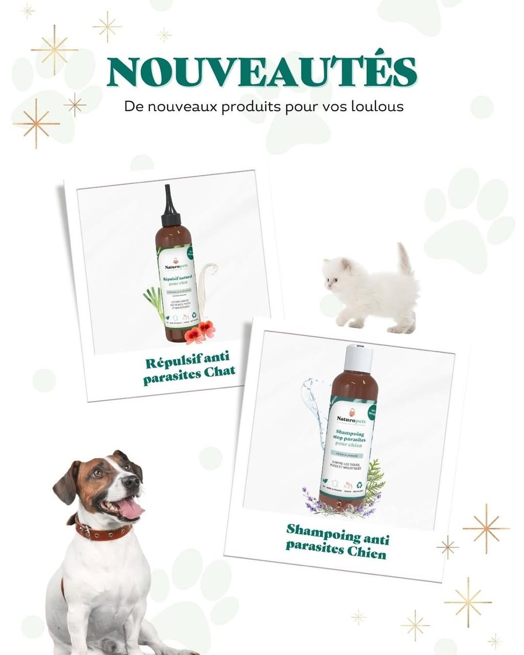 Post 1 by Naturopets | La Naturopathie pour animaux on Instagram (image)