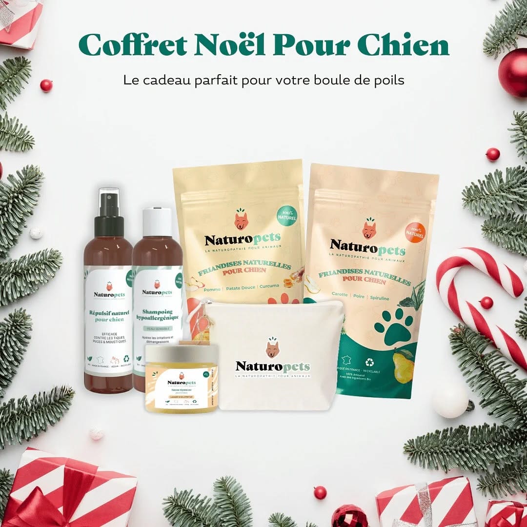 Post 7 by Naturopets | La Naturopathie pour animaux on Instagram (carousel)