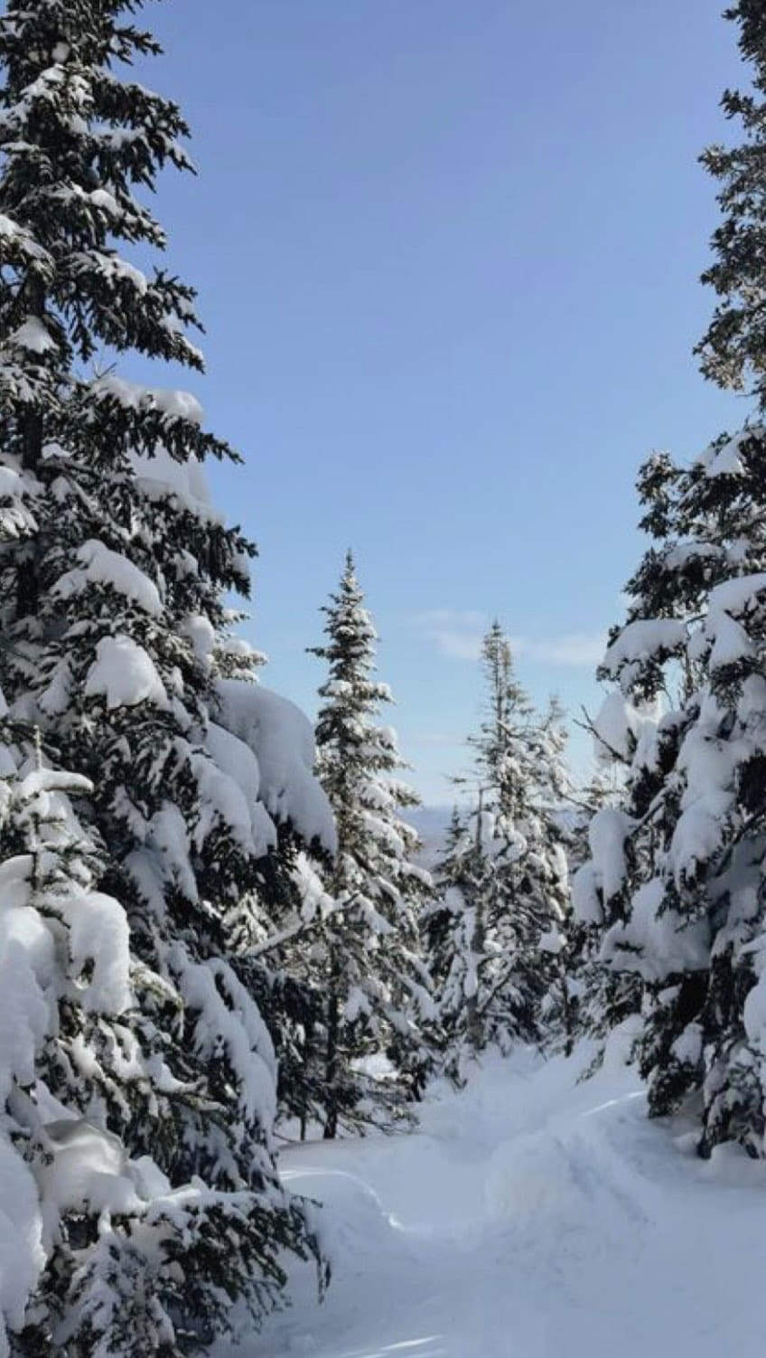 Post 4 by Nina Wauthier on Instagram (video)