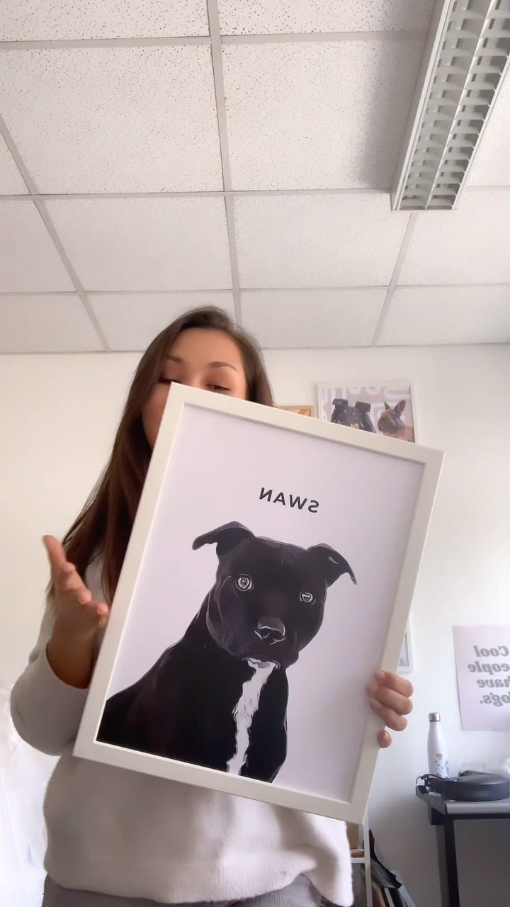Post 3 by Klem Klem 🐾 on Instagram (video)