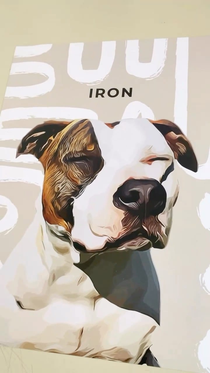 Post 7 by Klem Klem 🐾 on Instagram (video)